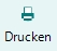 Button Drucken_Ausgabe Optionen